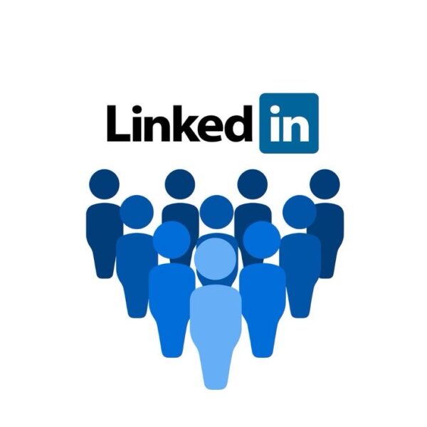 LinkedIn Consultation